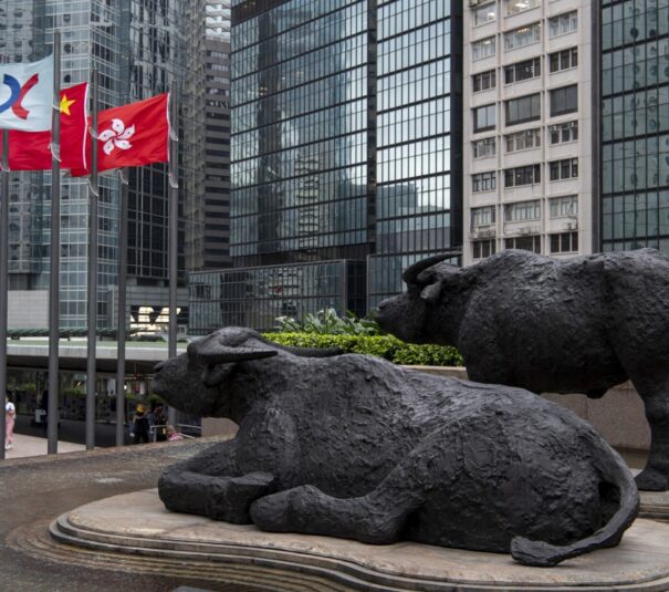 The Hong Kong Stock Exchange Index