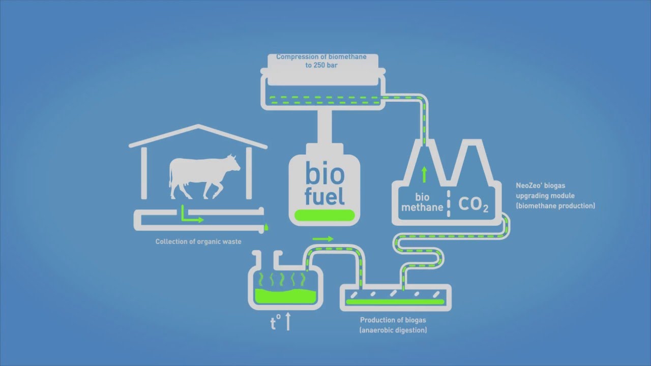 biomethane production