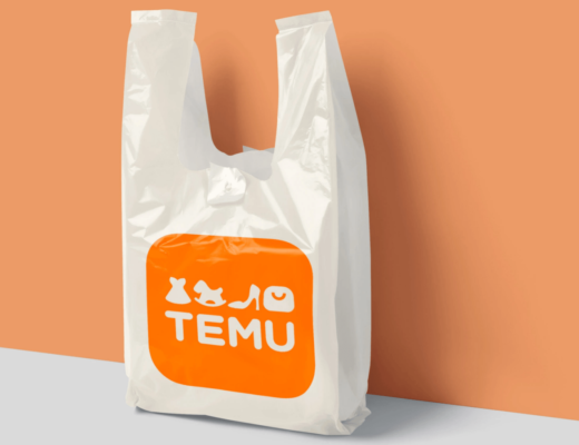 Chinese retailer Temu