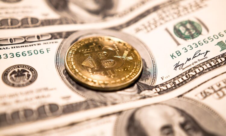 dollar payments