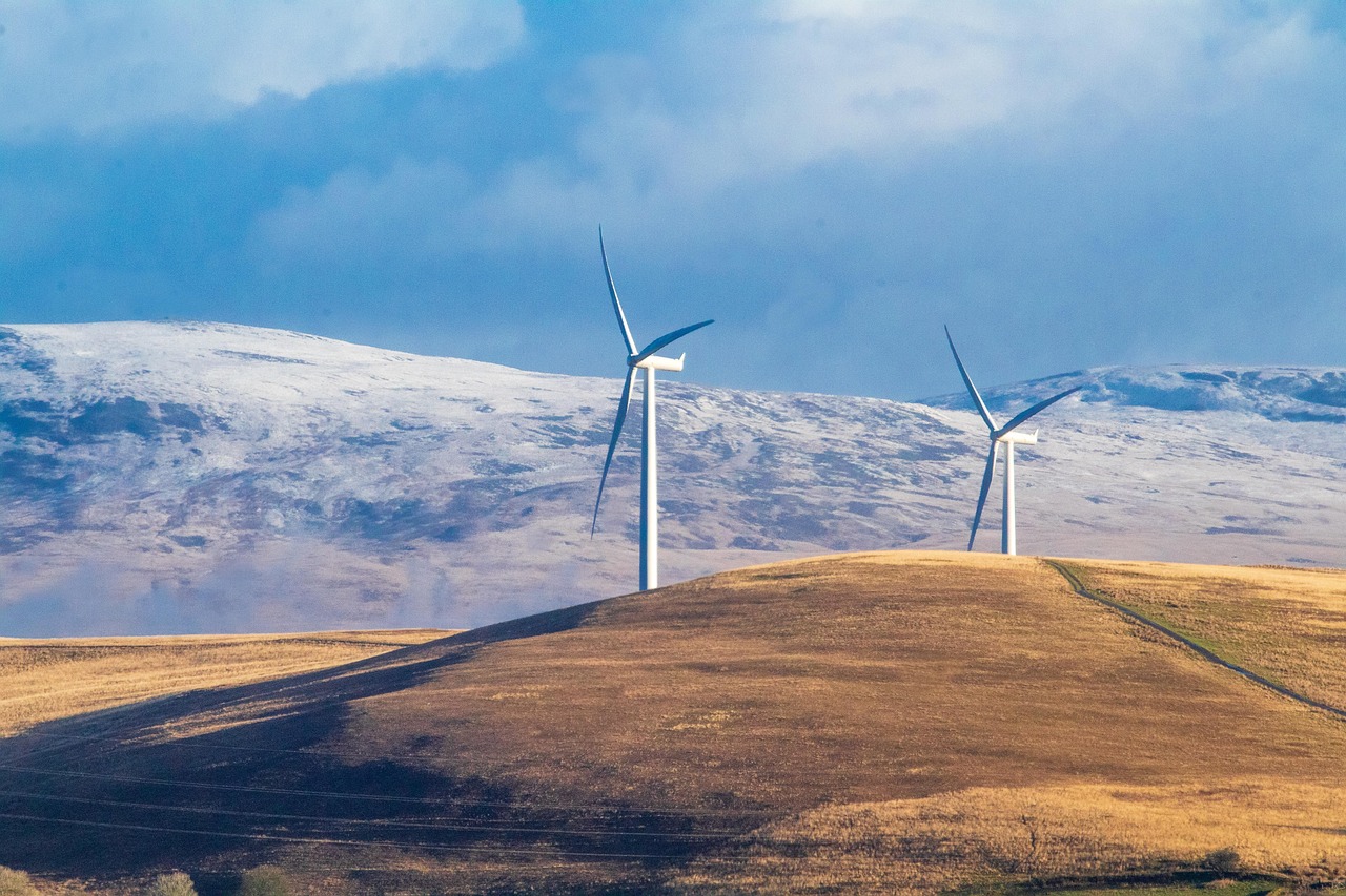 International Finance Corporation green energy