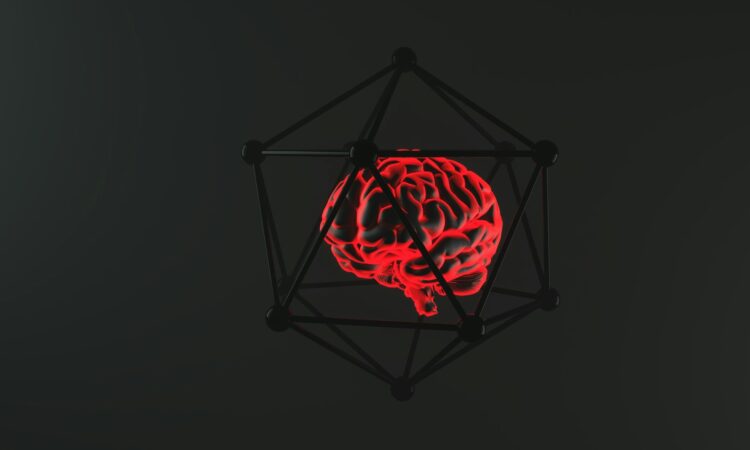Themis AI